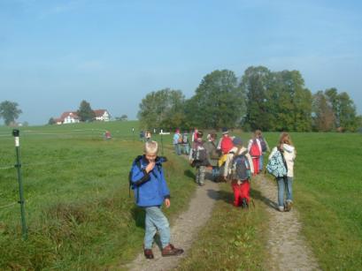 Im Sonnenschein über die Wiesen