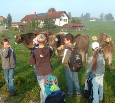 Kinder und Rinder