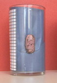 1.Tag